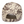 Outdoor Cap DC-610 Structured Fashion Camo Cap