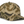 Outdoor Cap GC101 5-Panel Generic Camo Solid Back Cap