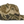 Outdoor Cap GC101 5-Panel Generic Camo Solid Back Cap