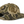 Outdoor Cap GC101 5-Panel Generic Camo Solid Back Cap