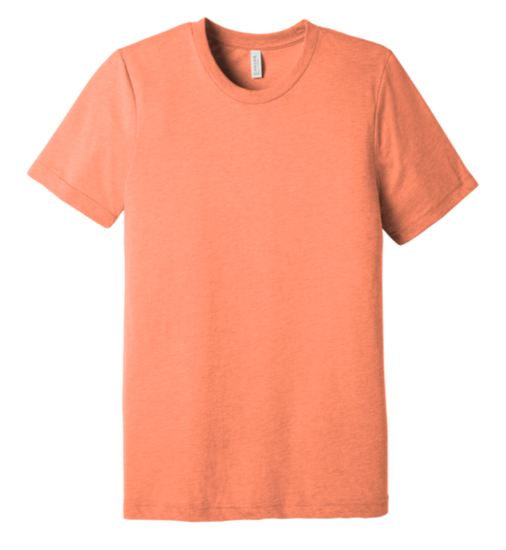 Bella + Canvas Unisex Triblend Short Sleeve Tee