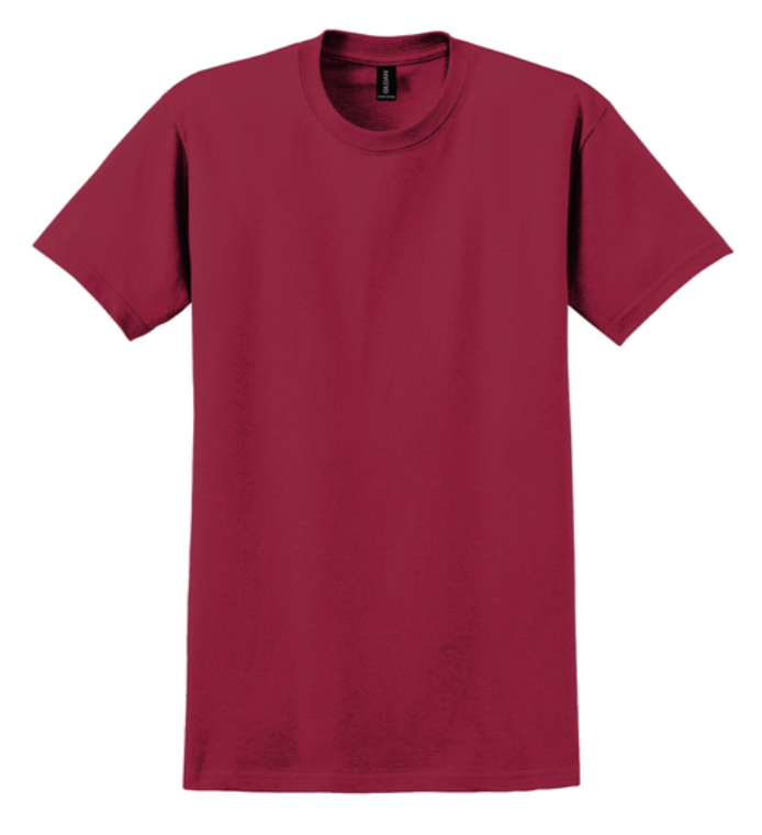 Gildan Ultra Cotton 100% Cotton T-Shirt