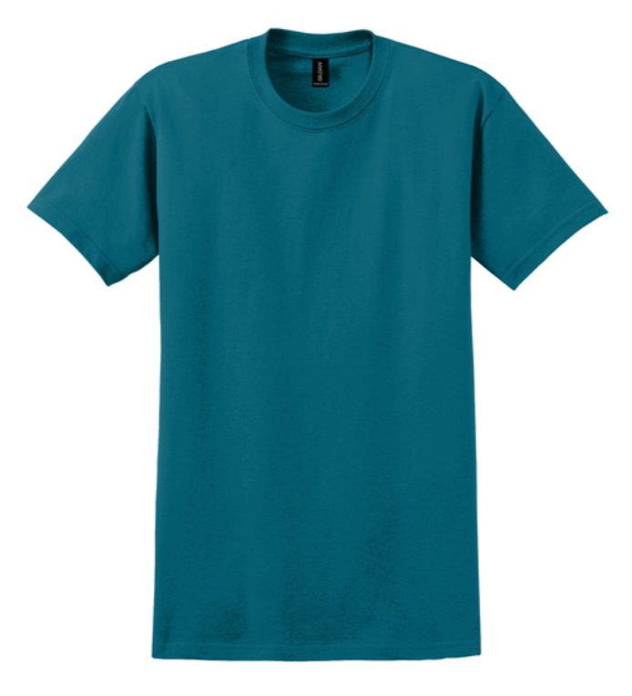 Gildan Ultra Cotton 100% Cotton T-Shirt