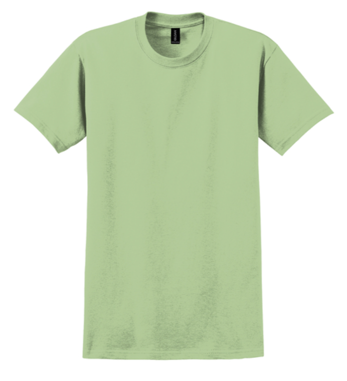 Gildan Ultra Cotton 100% Cotton T-Shirt