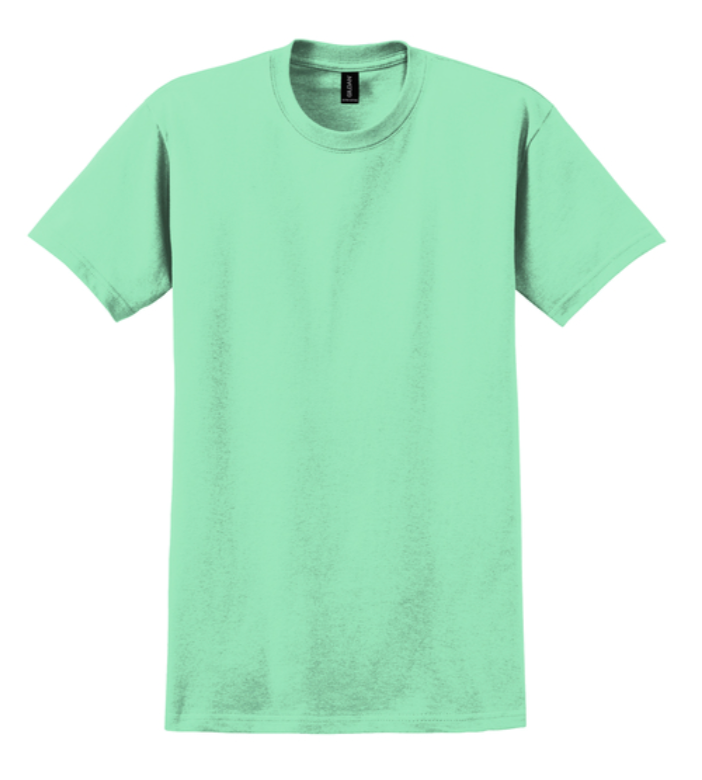 Gildan Ultra Cotton 100% Cotton T-Shirt