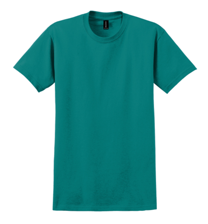 Gildan Ultra Cotton 100% Cotton T-Shirt