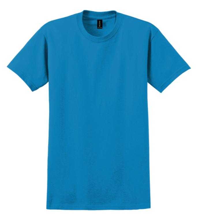 Gildan Ultra Cotton 100% Cotton T-Shirt