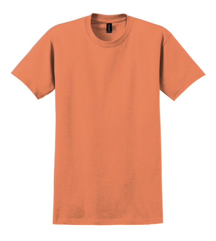 Gildan Ultra Cotton 100% Cotton T-Shirt
