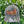 Outdoor Cap OC771Camo Camo Premium Modern Trucker - Embroidered